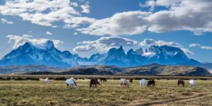 百内国家公园 智利生态乐土