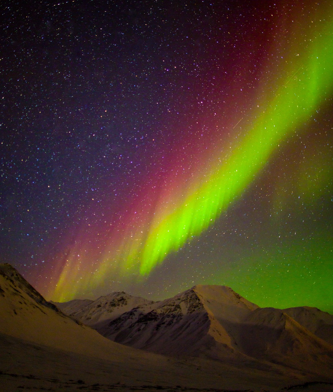 十一月的阿拉斯加星球上最后的边疆– 美華· 文化生活, image size:1088x1280