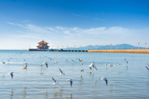 浪漫青岛：海、建筑和永不消散的烟火气