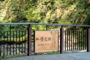 悠活拉拉山  巨木森林与乐龄基地