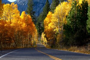 走进这首秋天影像诗  加州395公路赏秋攻略