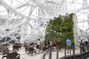 寻找科技与人文平衡的亚马逊青年